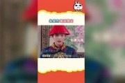 蘑菇娱乐吃瓜社,揭秘娱乐圈最新热点事件